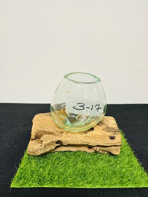 hand blown glass bowl terranium centerpiece home decor