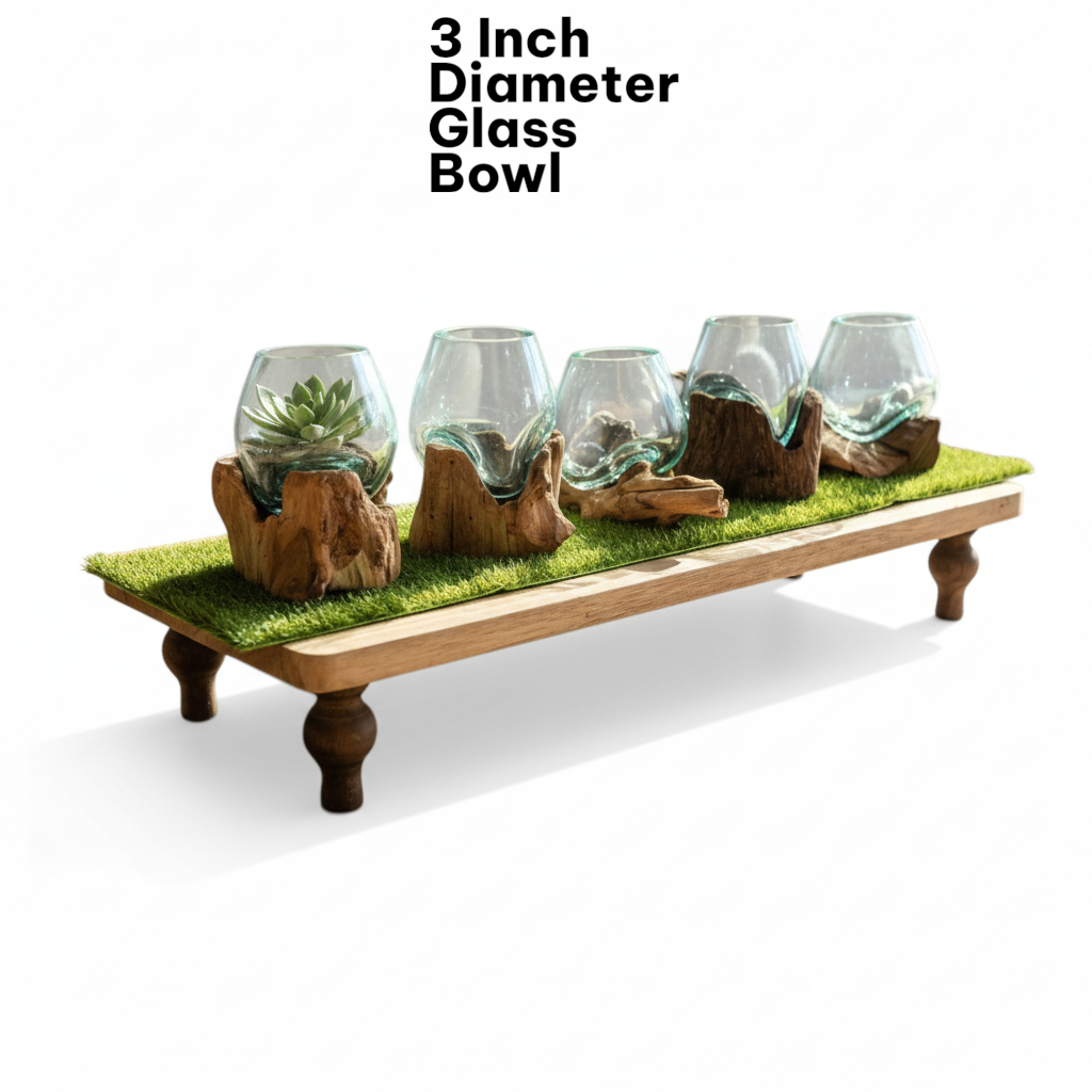 Five glass bowls with succulents on a wooden stand with grass, labeled '3 Inch Diameter Glass Bowl'.