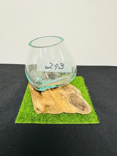 hand blown glass bowl terranium centerpiece home decor