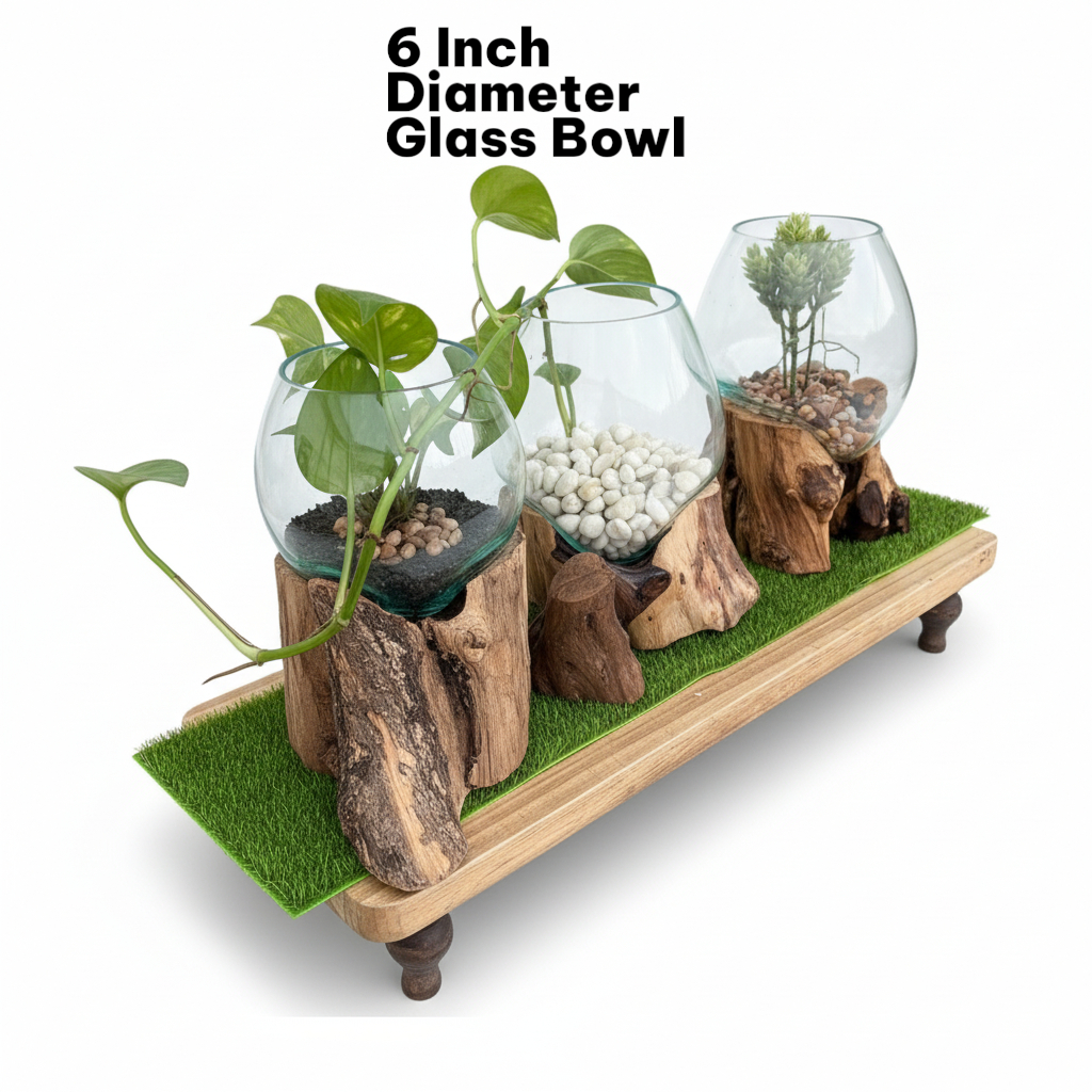 Three glass bowls with plants on a wooden stand with grass-like surface, labeled '6 Inch Diameter Glass Bowl'.