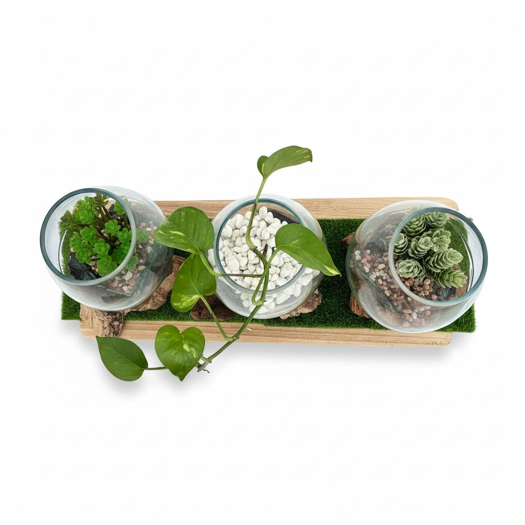 Three small terrariums with plants on a wooden board with grass-like material.