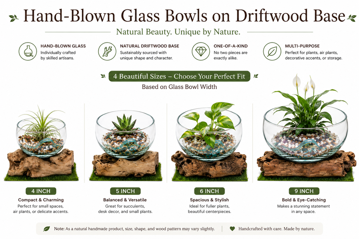 Hand blown glass bowl on driftwood