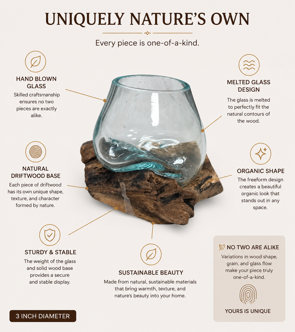 An infographic-style product image showing a hand-blown glass bowl with a natural driftwood base, surrounded by callout text and icons describing its features: hand blown glass, melted glass design, natural driftwood base, organic shape, sturdy & stable, sustainable beauty, and 3 inch diameter. The background is a warm off-white/beige.