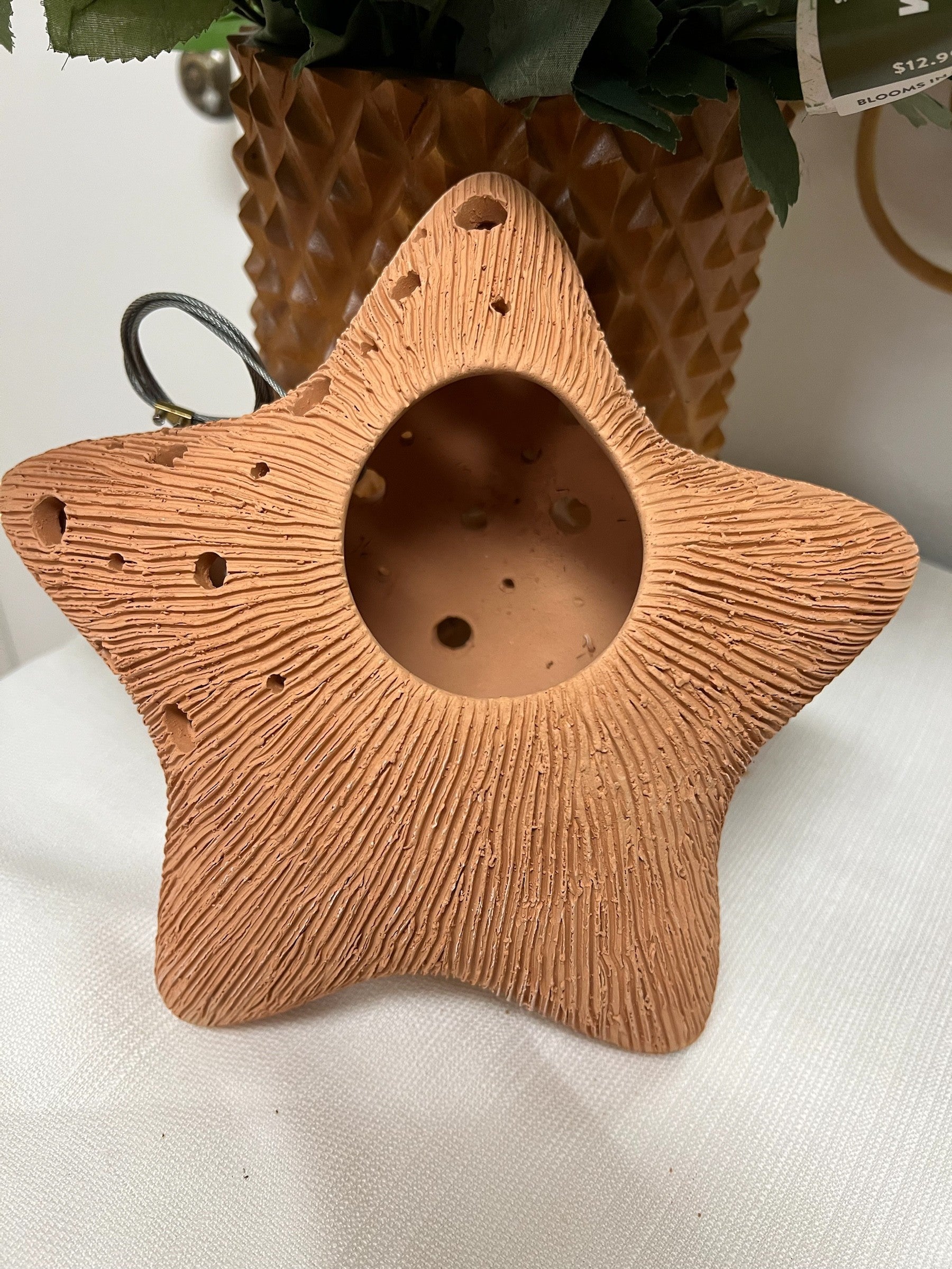 Star-shaped terracotta pot on a white surface with a plant in the background