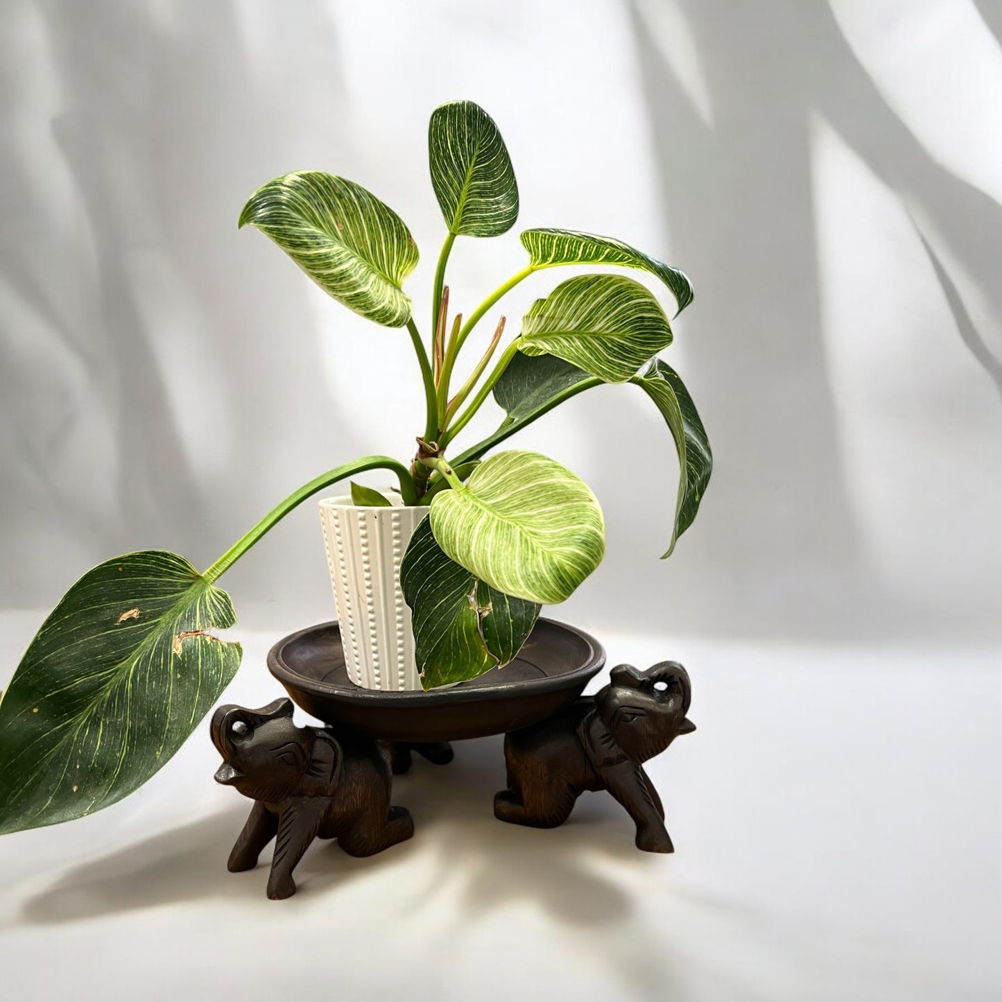 Potted plant on a decorative Triple Elephant Round Wood Tray Stand 