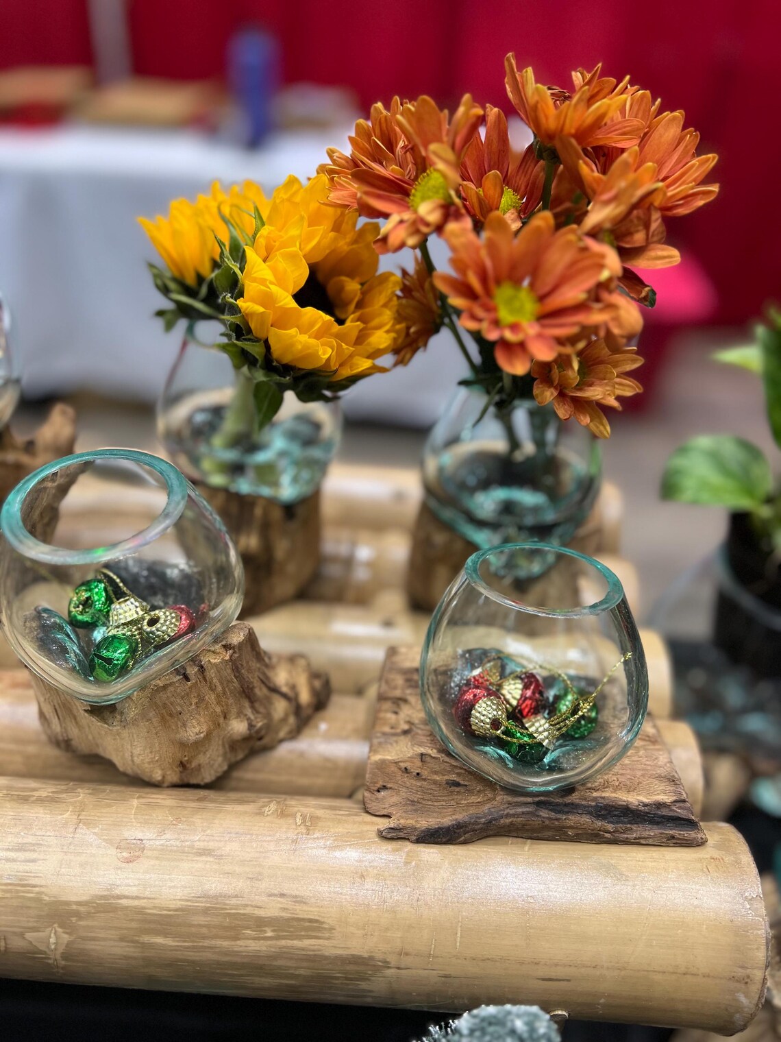 Artisan glass bowl molded to driftwood base – unique eco-friendly planter