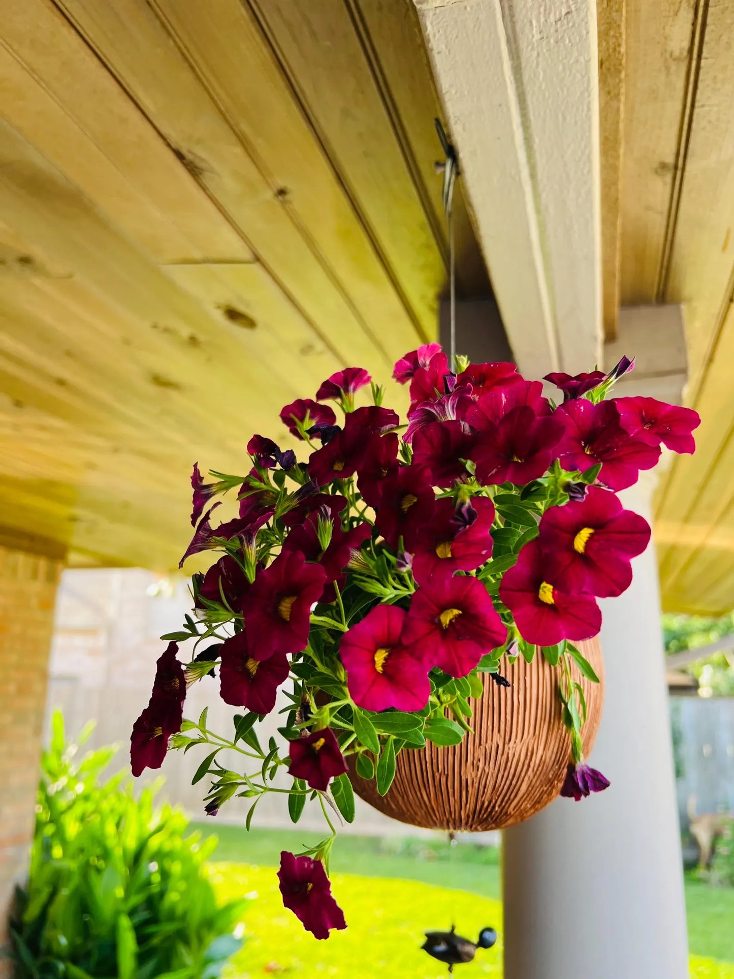 Terracotta pots with purple flowers on a wooden porch