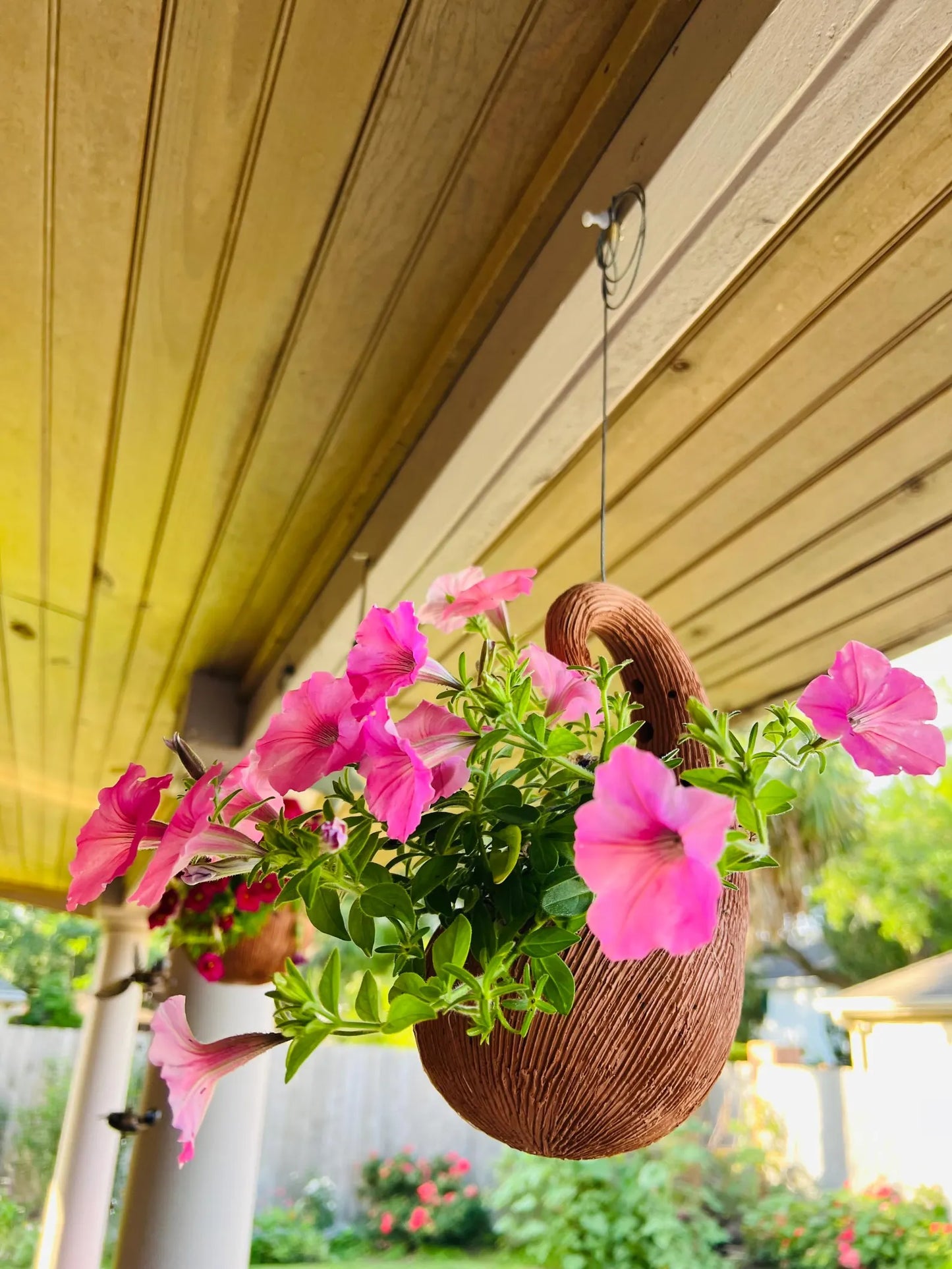 Terracotta pots with pink flowers attached to a wooden pergola