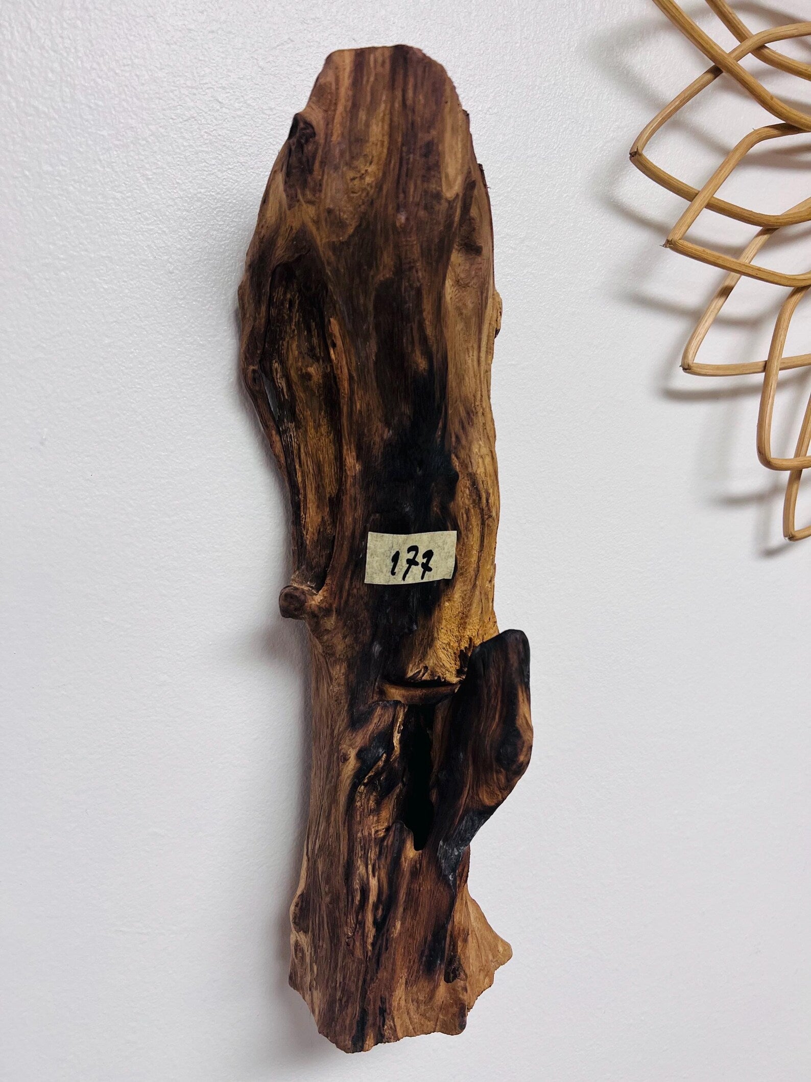 glass wall planter base