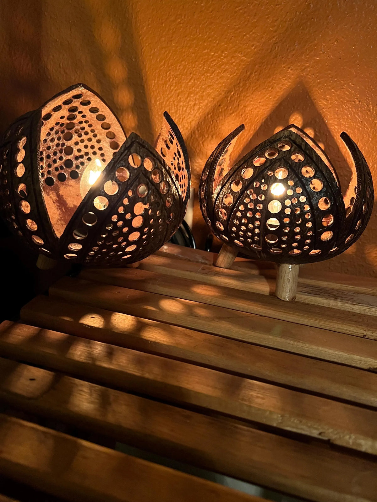 Cocnut Shell Lamp Handmade Open Petal Coconut Shell Night Light | Boho Eco-Friendly Table ...