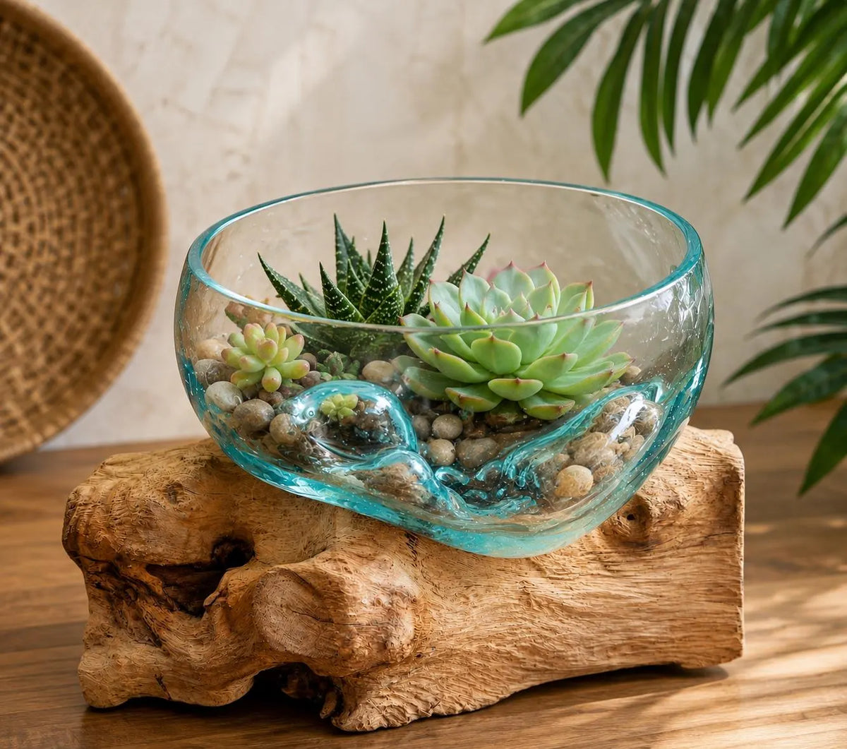 Hand blown glass bowl on driftwood
