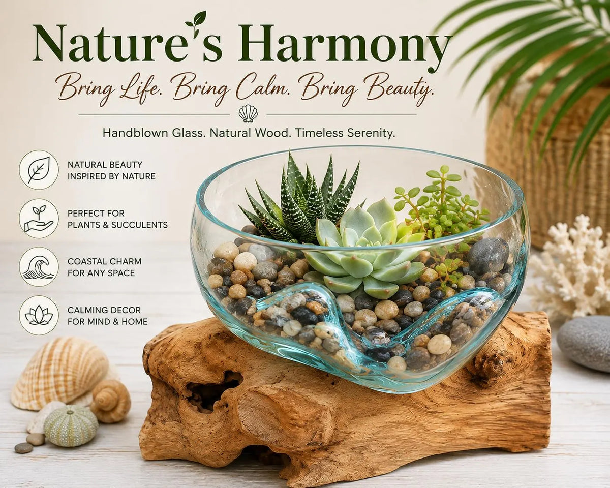 Hand blown glass bowl on driftwood - Nature Harmony
