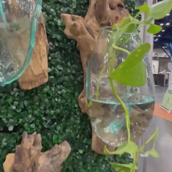 video glass wall planter