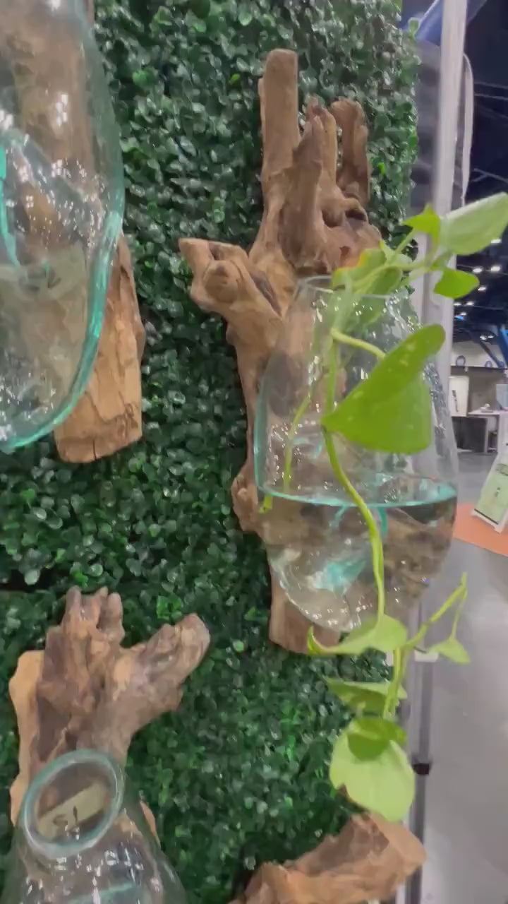 video glass wall planter