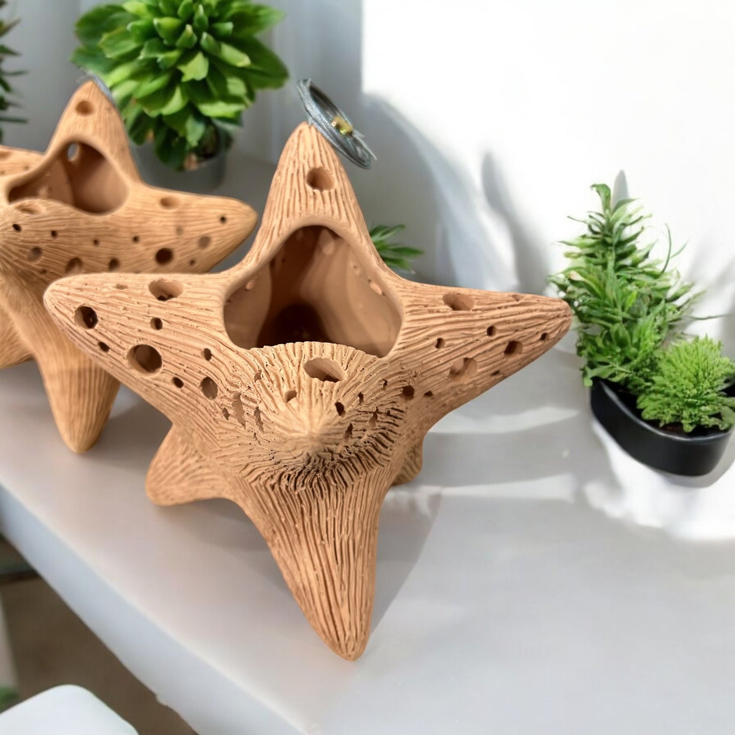 Star-shaped Terracotta pots planters on a white surface with green plants in the background